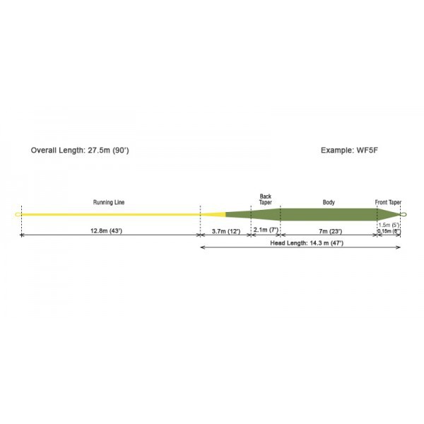 Línea Mosca RIO Gold WF 4 F