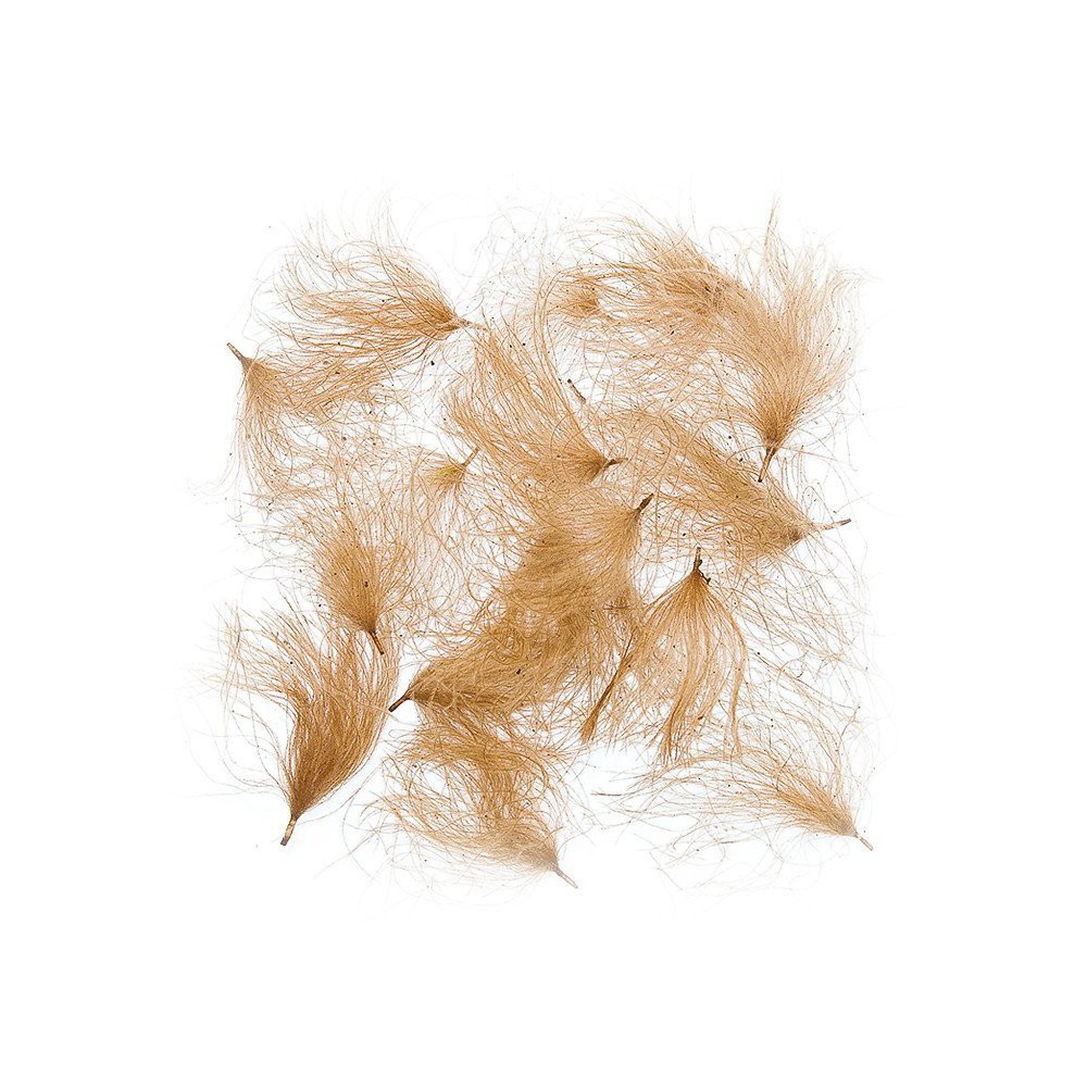 Wapsi C.D.C. Puffs Cul de Canard