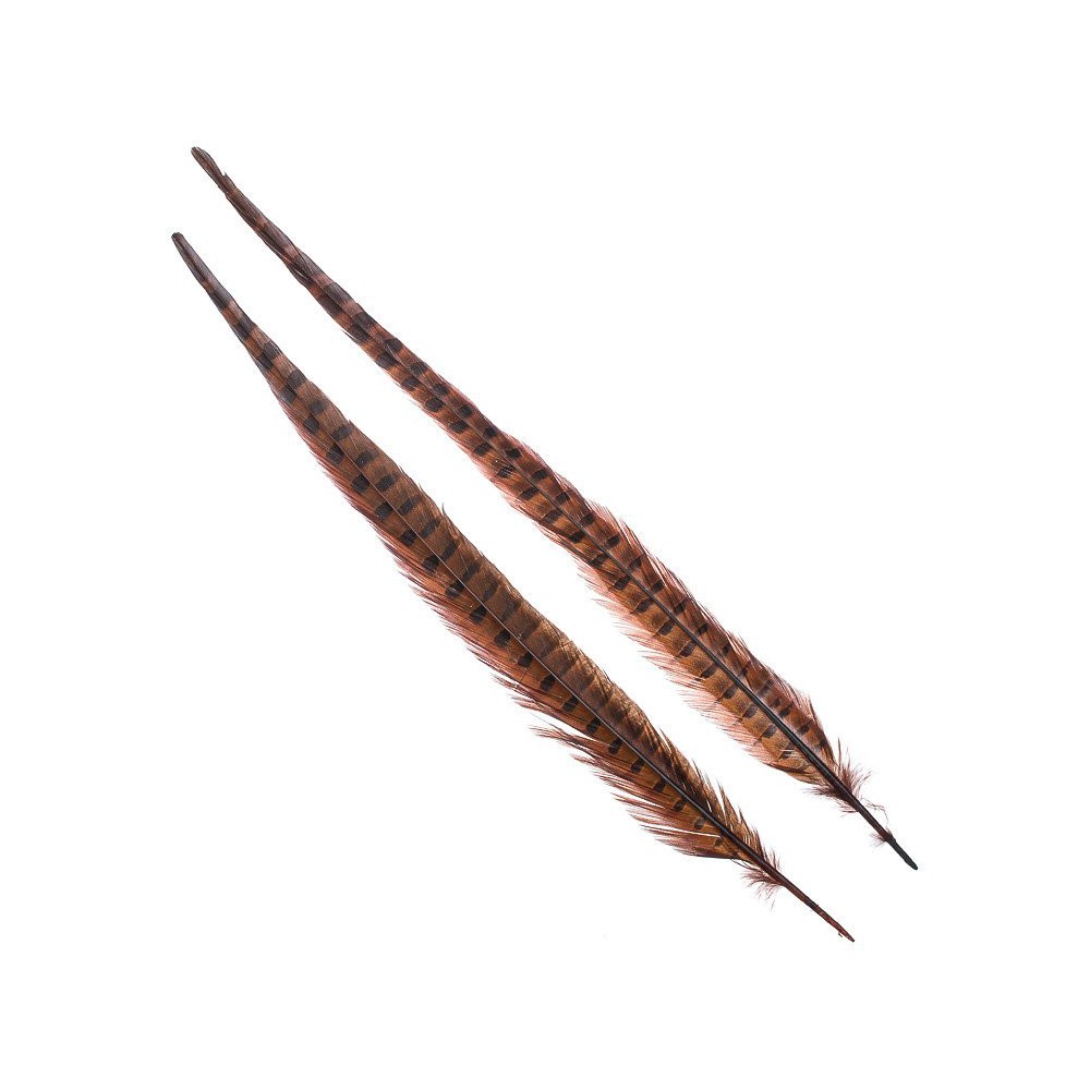 Wapsi 1 Pair Ringneck Tail Feathers