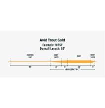 Línea Mosca RIO Avid Trout - Gold WF 7 F