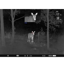 Binocular Térmico Pulsar Merger LRF XT50